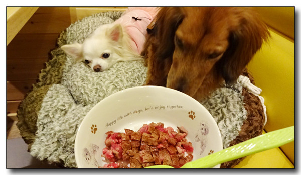 20160507190306.JPG