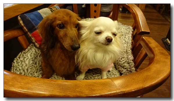 20160304113140.JPG