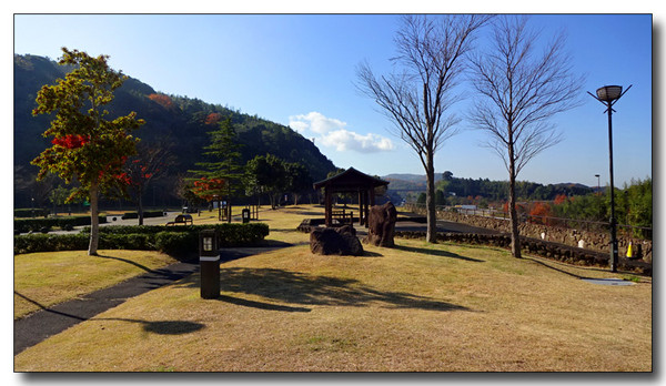 20160405220804.JPG