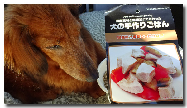 20160405220807.JPG