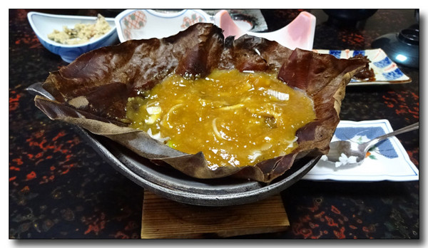 20160623210836.JPG