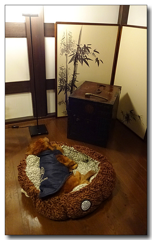 20160627011358.JPG