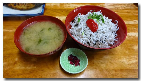 20160510164515.JPG