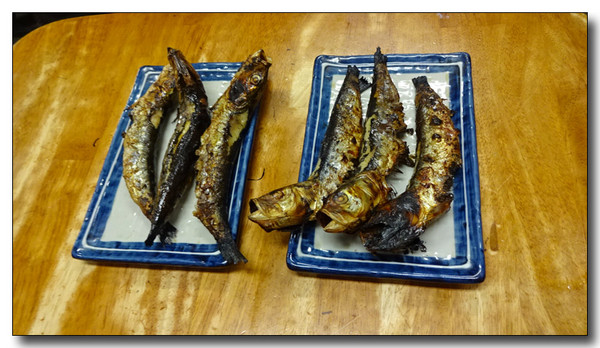 20160517111125.JPG