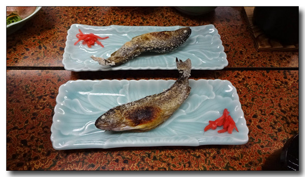 20160609182301.JPG