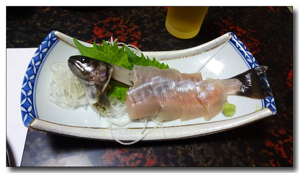20160617105525.JPG
