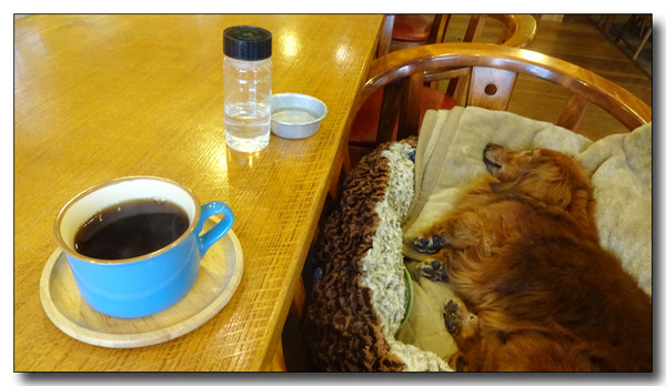 20160727155030.JPG