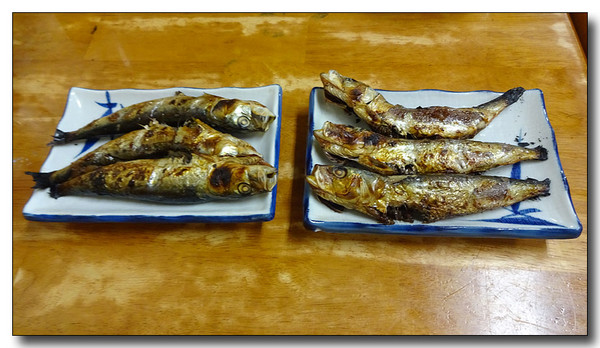 20160805143345.JPG