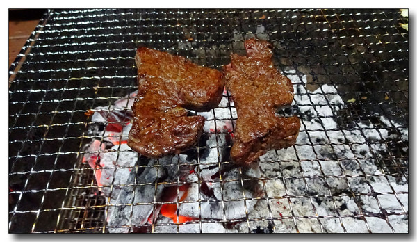 20161108100739.JPG