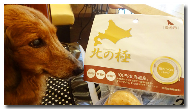 20160912175644.JPG
