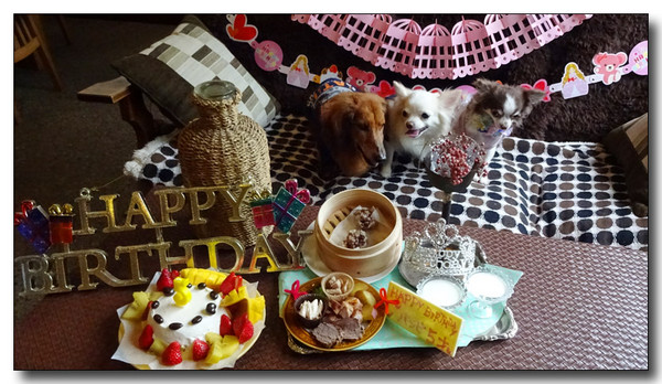 20161007124424.JPG