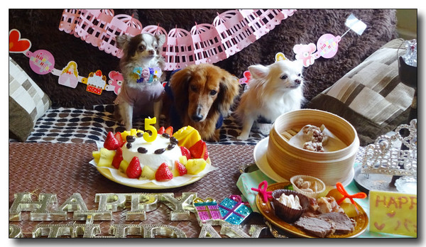 20161007124443.JPG