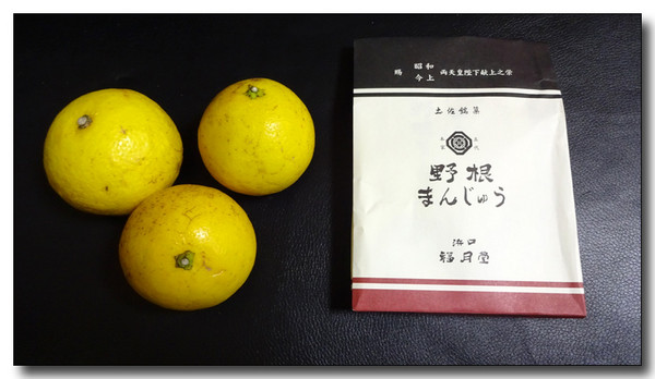 20161007124537.JPG