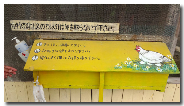 20170116234429.JPG