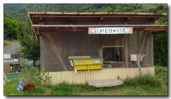 20170116234447.JPG