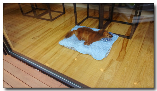 20170520114043.JPG