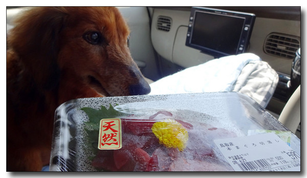 20170726234111.JPG