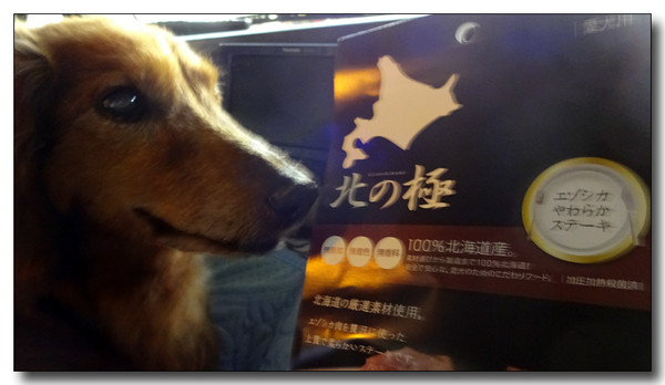 20170302115921.JPG
