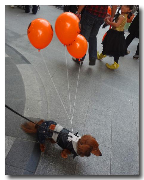 20130406163111.jpg