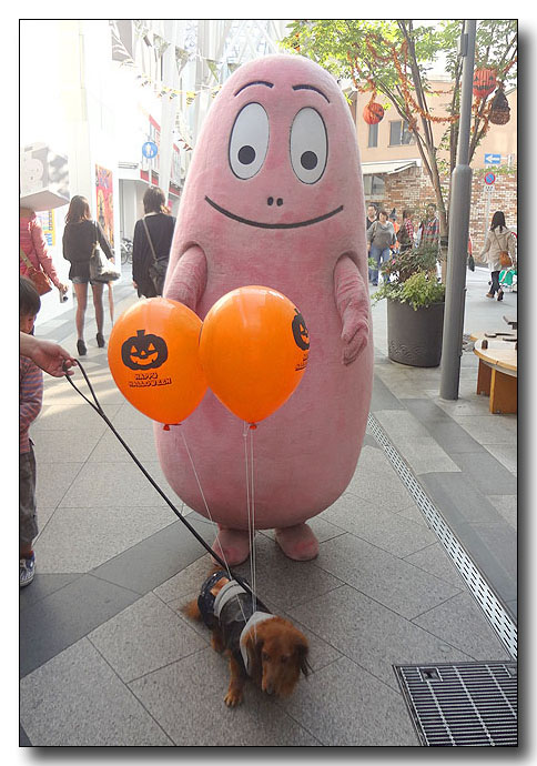 20130406163113.jpg