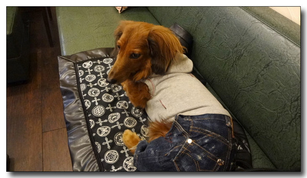 20130308001712.jpg