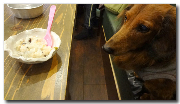 20130308001713.jpg
