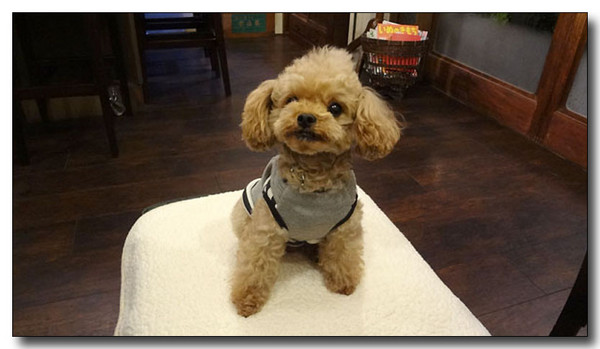 20130308001714.jpg