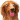 2-1.GIF