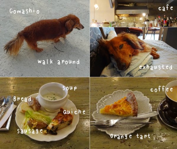 cafe.jpg
