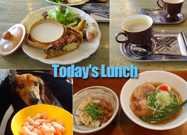 lunch.jpg